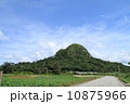 伊江島のシンボル・タッチューを望む＠沖縄 10875966