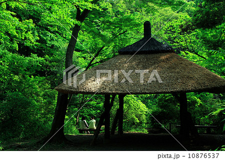 あずまや 10876537