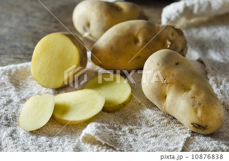 potato potato 10876838