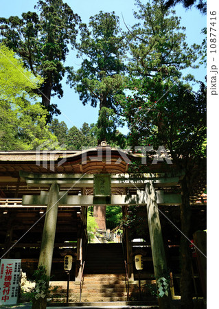 由岐神社 由岐神社 10877416