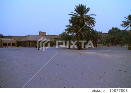 メルズーガ 10877808