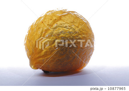 ムクロジの実 10877965