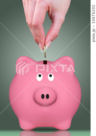 Fingers and piggy bank Fingers and piggy bank 10878202