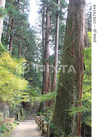 室生寺 室生寺 10879548