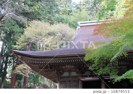 室生寺 室生寺 10879553