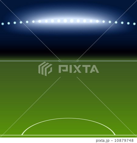 Soccer field with white lines on green 10879748