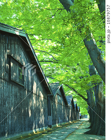 山居倉庫　酒田市 10879757