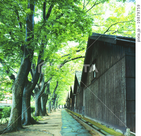 山居倉庫 酒田市 山居倉庫 酒田市 10879759