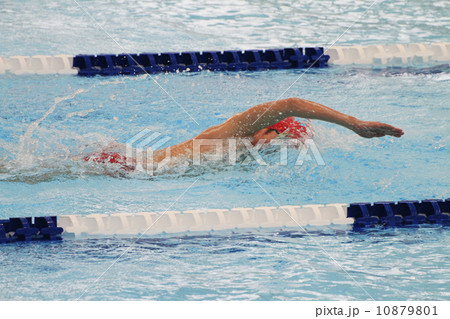 クロール 10879801