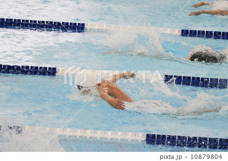 バタフライ バタフライ 10879804