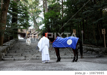 伊勢神宮のお参り 10879995