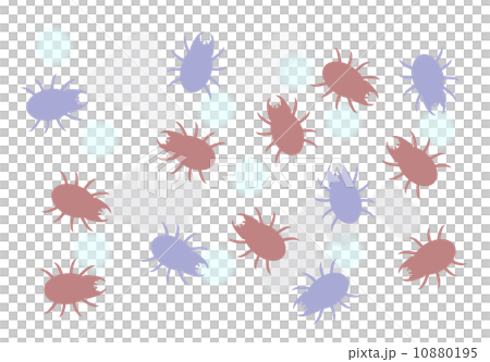 Bad mites 10880195
