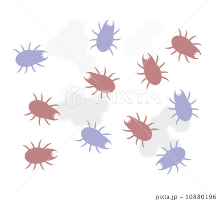 嫌なダニ 10880196