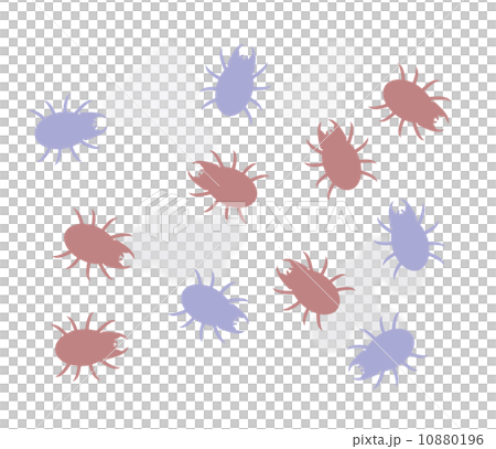 嫌なダニ 10880196