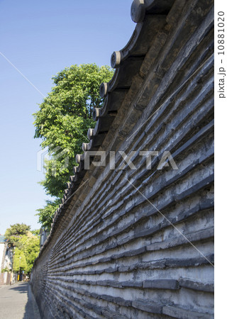 谷中 谷中 10881020