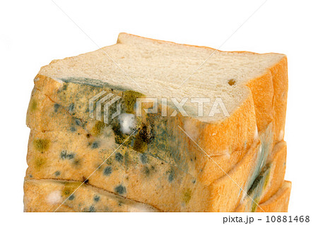 Mold on bread 10881468
