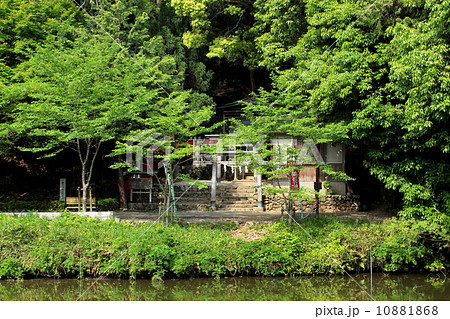 京都 御髪神社 京都 御髪神社 10881868