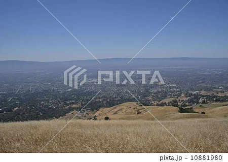 Alum Rock Park 山頂　シリコンバレー展望 10881980