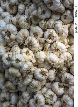 Garlics Garlics 10882017