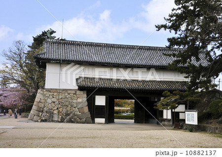 佐賀城鯱の門 10882137