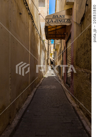 フェズ フェズ 10883880