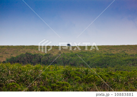 波照間島 波照間島 10883881