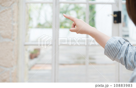 指す 10883983