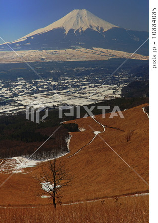 忍野・高座山からの富士山 10884085