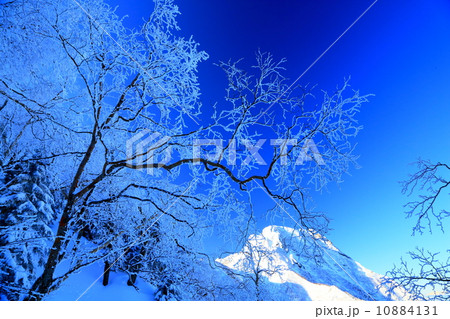 地蔵尾根の登りから樹氷と阿弥陀岳 10884131