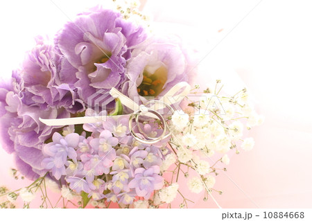 八仙花屬和火雞bialcho婚禮花束在6月 照片素材 圖片 圖庫