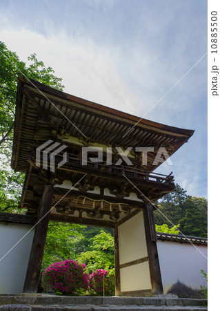 奈良　長岳寺　鐘楼門と境内のツツジ 10885500