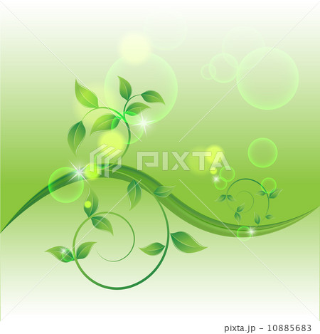 branch with fresh green leaves 10885683