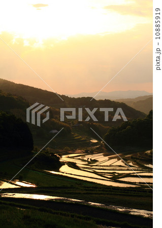 大垪和西棚田2014051811 大垪和西棚田2014051811 10885919