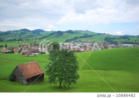 スイスののどかな風景 10886482
