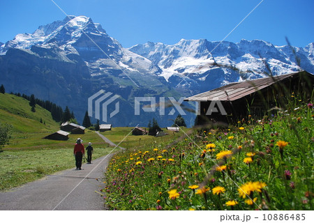 ミューレン村 10886485