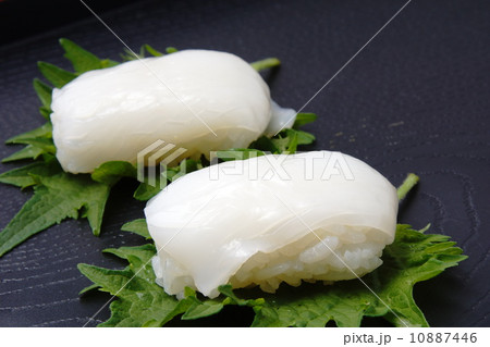 烏賊にぎり 10887446