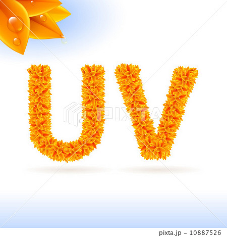 Sans serif font with fall leaf decoration 10887526