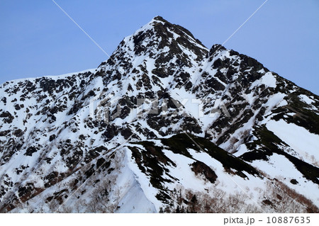 南アルプス・塩見岳山頂を望む（権右衛門山から） 10887635