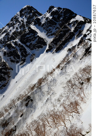 朝の南アルプス・塩見岳山頂を望む(塩見小屋付近) 朝の南アルプス・塩見岳山頂を望む(塩見小屋付近) 10887637