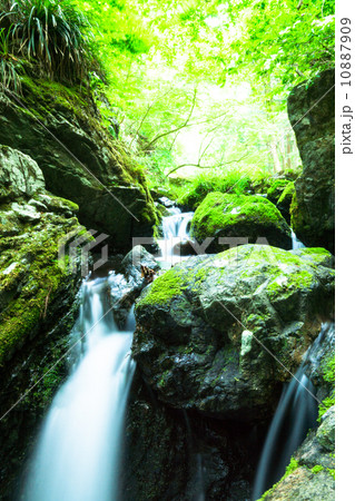 奥多摩・清流 奥多摩・清流 10887909