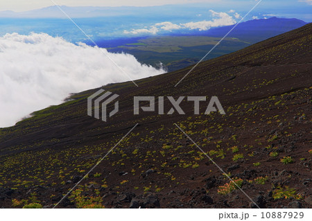富士山・雲湧く須走ルートの砂走り 富士山・雲湧く須走ルートの砂走り 10887929