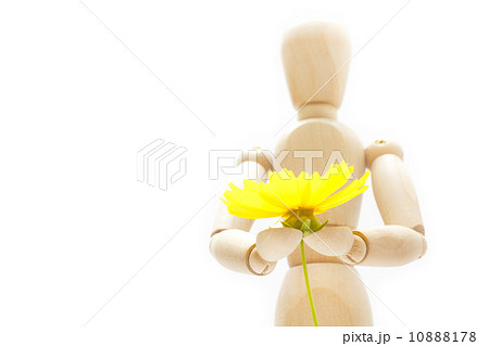 花を持つ人形 10888178