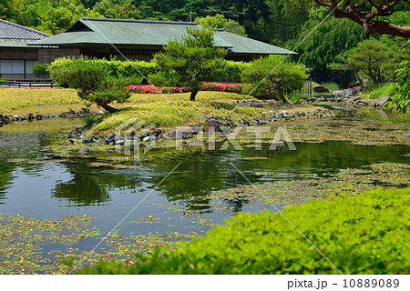 日本庭園 10889089