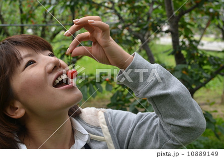 さくらんぼ狩り７ 10889149