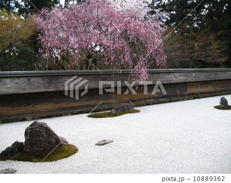 京都　龍安寺の石庭（世界文化遺産） 10889362