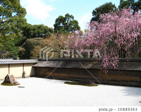 京都 龍安寺の石庭(世界文化遺産) 京都 龍安寺の石庭(世界文化遺産) 10889363