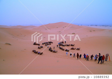 メルズーガ 10889392