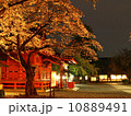 夜桜と浅間大社 10889491