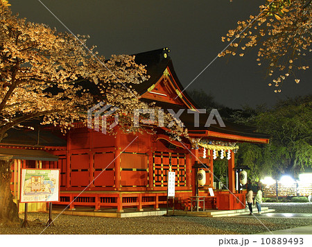 夜桜と浅間神社 夜桜と浅間神社 10889493