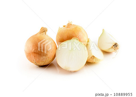 onions isolated on the white onions isolated on the white 10889955